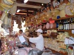 Immagine In primo piano