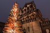 albero-murano-ferrara-3.jpg