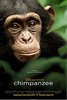 Chimpanzee_poster.jpg