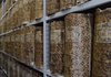 Documentazione conservata all'Archivio storico del Comune di Ferrara