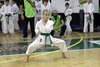 Karate - tre giorni a Ferrara maggio 2017- concentrazione al massimo per una cintura verde