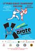 Karate - tre giorni a Ferrara maggio 2017- locandina mondiale e meeting 2017
