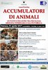 Locandina del seminario dedicato alla patologia degli "Accumulatori di animali"