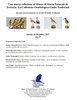 Locandina  presentazione nuova collezione ornitologica - Museo storia naturale di Ferrara