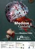 Meduse & cnidaria. mostra e iniziative al Museo di storia naturale di Ferrara fino al 24 settembre 2017