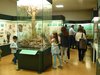 Museo di storia naturale Ferrara - visite
