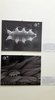 Immagini fotografiche di tardigrado fatte al microscopio