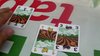 Vegetables - gioco di carte del ferrarese Daniele Ferri alla BibliotecaLuppi Ferrara 30ott-4nov2017