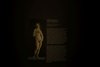 "Venus in frame": la scheda della nuova opera di Mustafa Sabbagh a Palazzo dei Diamanti