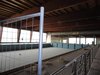 foto 30 gennaio 2013 piscina via beethoven 2