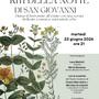 Alla Bassani "I riti della notte di San Giovanni": musica, narrazioni, erbe e fiori per dare il benvenuto all'estate