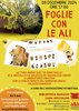 3dic niccolini foglie con le ali.jpg