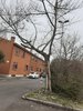 acero via Trebbia.jpg
