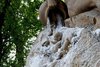 Acquedotto DSC_4390.jpg