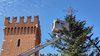 addobbi albero piazza cattedrale