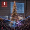 albero natale 2016.jpg