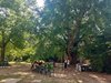 albero storie 2024 foto 3.jpg
