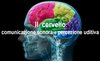 brain2017.jpg