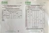 Campionati atletica Uisp programma 1 set 2024.jpg