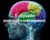cervello.jpg
