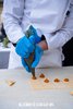 cibo è chi lo fa cappellacci.jpg