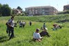 citizen scientists in campo.jpg