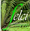 felci.png