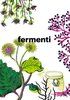 fermenti.jpg