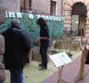Festa_albero_2012_1
