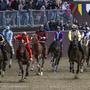Palio di Ferrara 2026: le modifiche al traffico per le prove dei cavalli, il corteo storico e le gare in piazza Ariostea