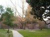 Giardino biblioteca Ariostea