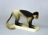 Guereza - Colobus guereza - Africa equatoriale - Minor preoccupazione - Trend in calo rid