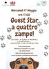 guest star 4 zampe