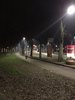 illum viale costituzione 2
