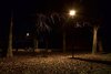 Illuminazione_aree_verdi2012_1