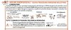 infografica misure_emergenziali 1_31gen2021