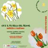 labfiori29marzo