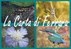 logo_carta_di_ferrara.jpg