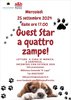 luppi 25 set 2024.jpg