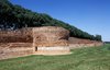 mura
