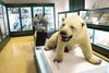 Museo st nat orso