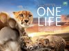 one_life
