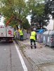 Operazione decoro 2.jpg