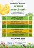 ora del racconto semi di meraviglia giu2026 bassani