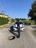 pol loc monestirolo voragine 2.jpeg