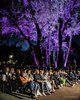 sinfonie-in-giardino-pubblico.jpg