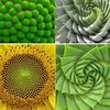 spirali.jpg