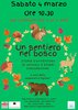 un sentiero nel bosco