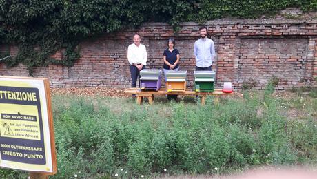 Miele ottimo ed eccellenti valori ambientali, il bilancio del progetto "Ferrara Urban Bees" al giardino di palazzo Schifanoia