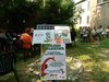 ALBERO_STORIE 2013_BIS
